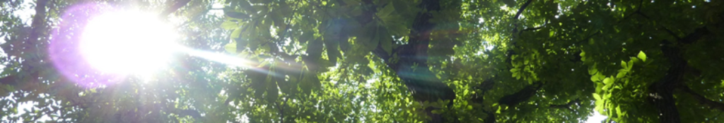 スケジュール帳、とても気になります。